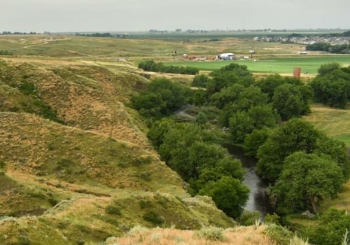 The Benefits of Recreation Centers for Senior Citizens in Weld County, Colorado